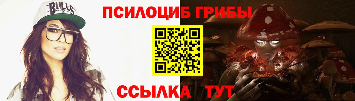 Кувандык  Галлюциногенные грибы Psilocybine cubensis  Галлюциногенные грибы Cubensis  Вход с VPN 